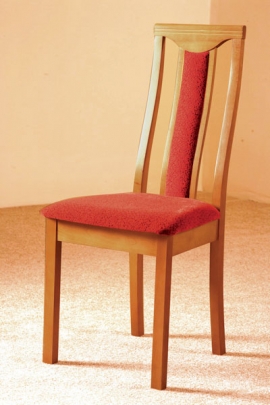 electrog_volg_ch_stil05m.jpg