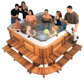 - Arctic Spa - Всесезонные гидромассажные бассейны - Arctic Spa - Всесезонные гидромассажные бассейны