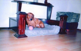 polmar_for_dog_1.jpg