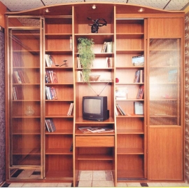 stanley_shkaf_books.jpg