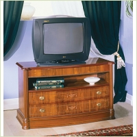 dana_tv1.jpg