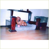 polmar_for_dog_1.jpg
