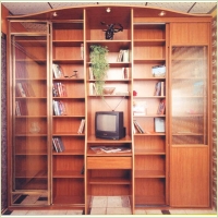 stanley_shkaf_books.jpg
